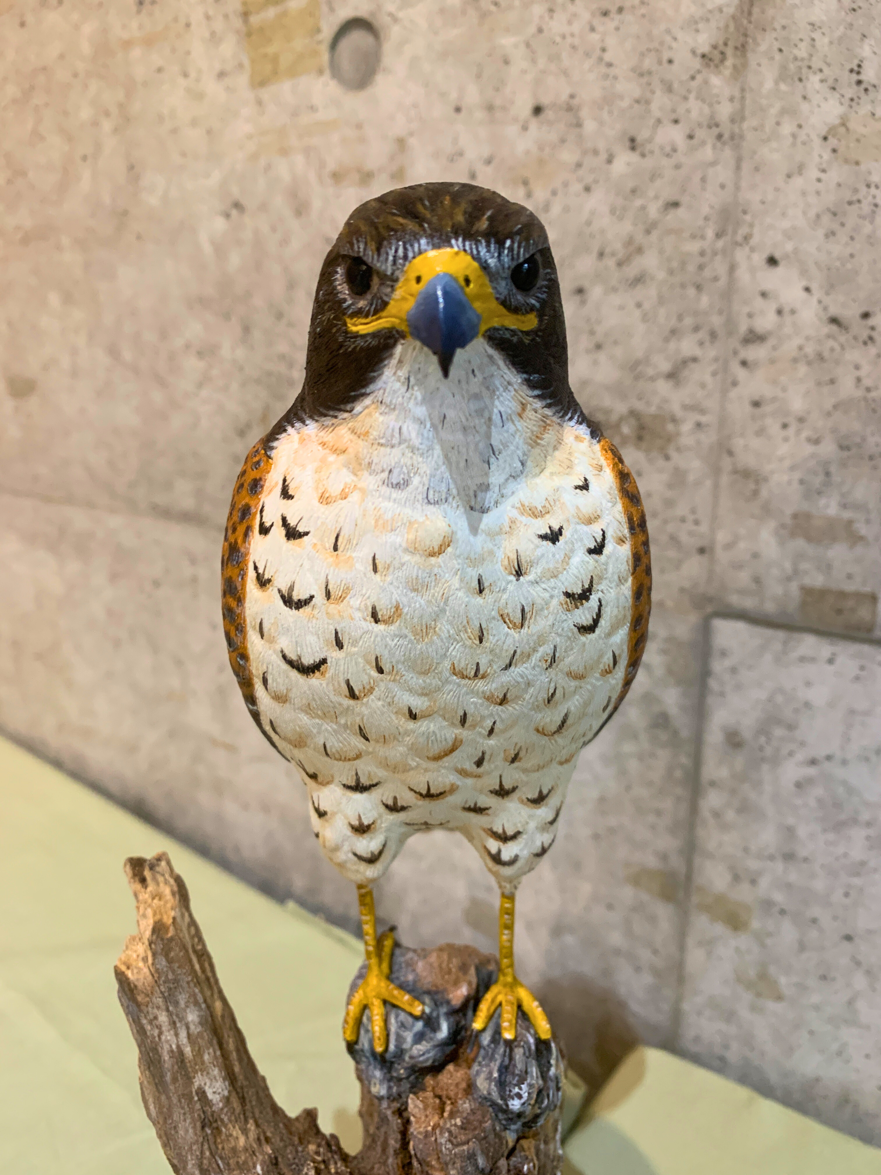 山梨県甲斐バードカービングクラブ - Kai Bird Carving Club
