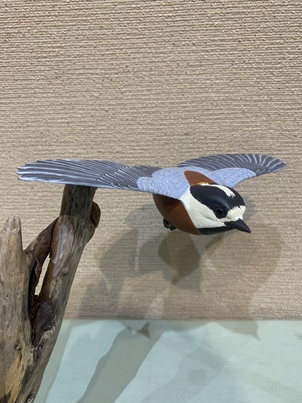 山梨県甲斐バードカービングクラブ - Kai Bird Carving Club