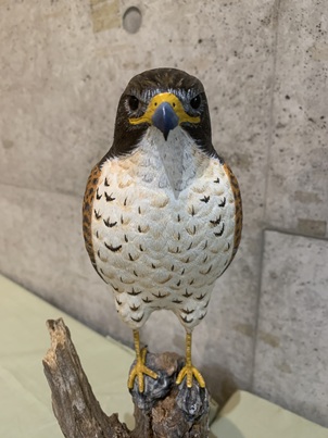 山梨県甲斐バードカービングクラブ - Kai Bird Carving Club