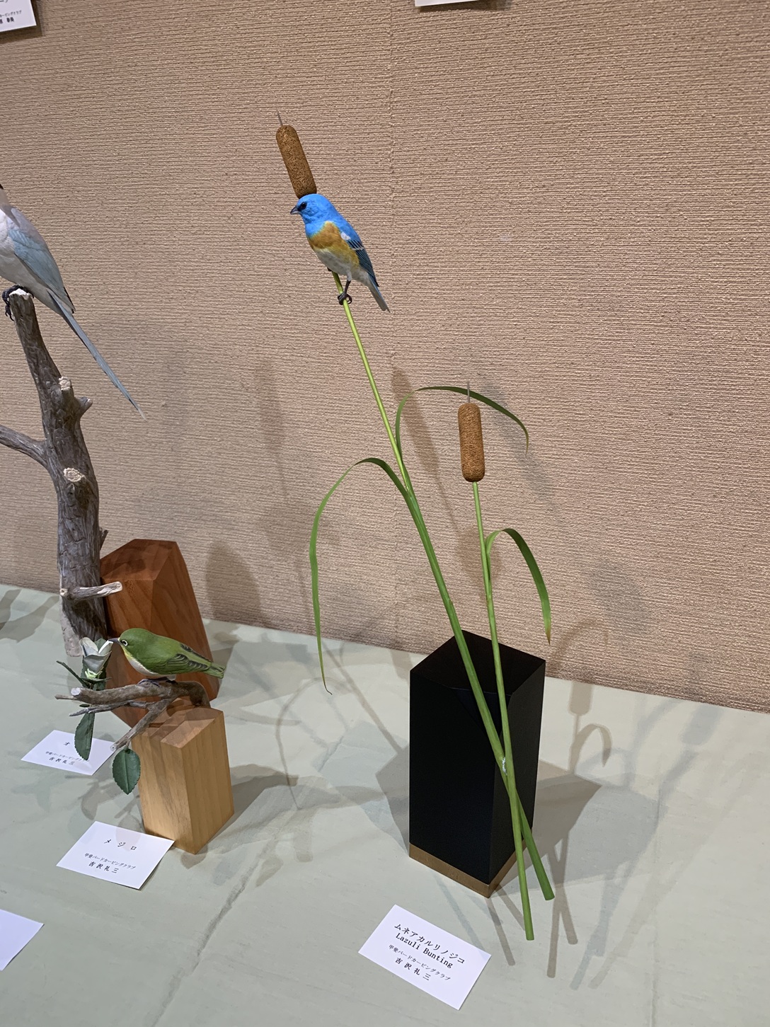 山梨県甲斐バードカービングクラブ - Kai Bird Carving Club