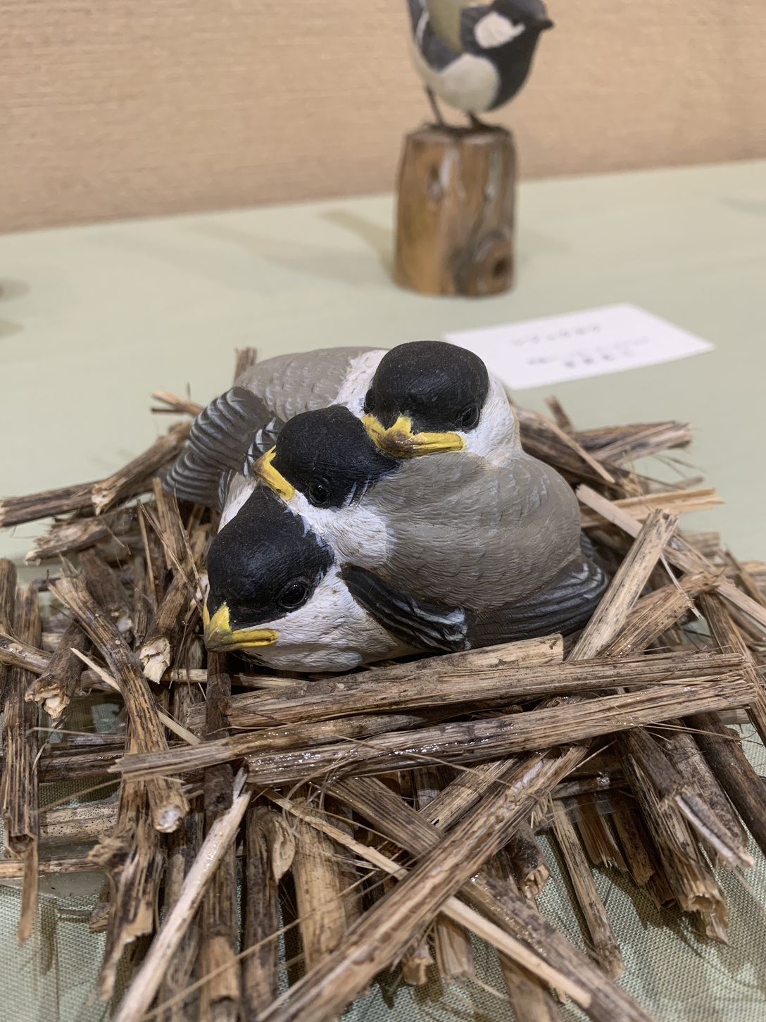 山梨県甲斐バードカービングクラブ - Kai Bird Carving Club