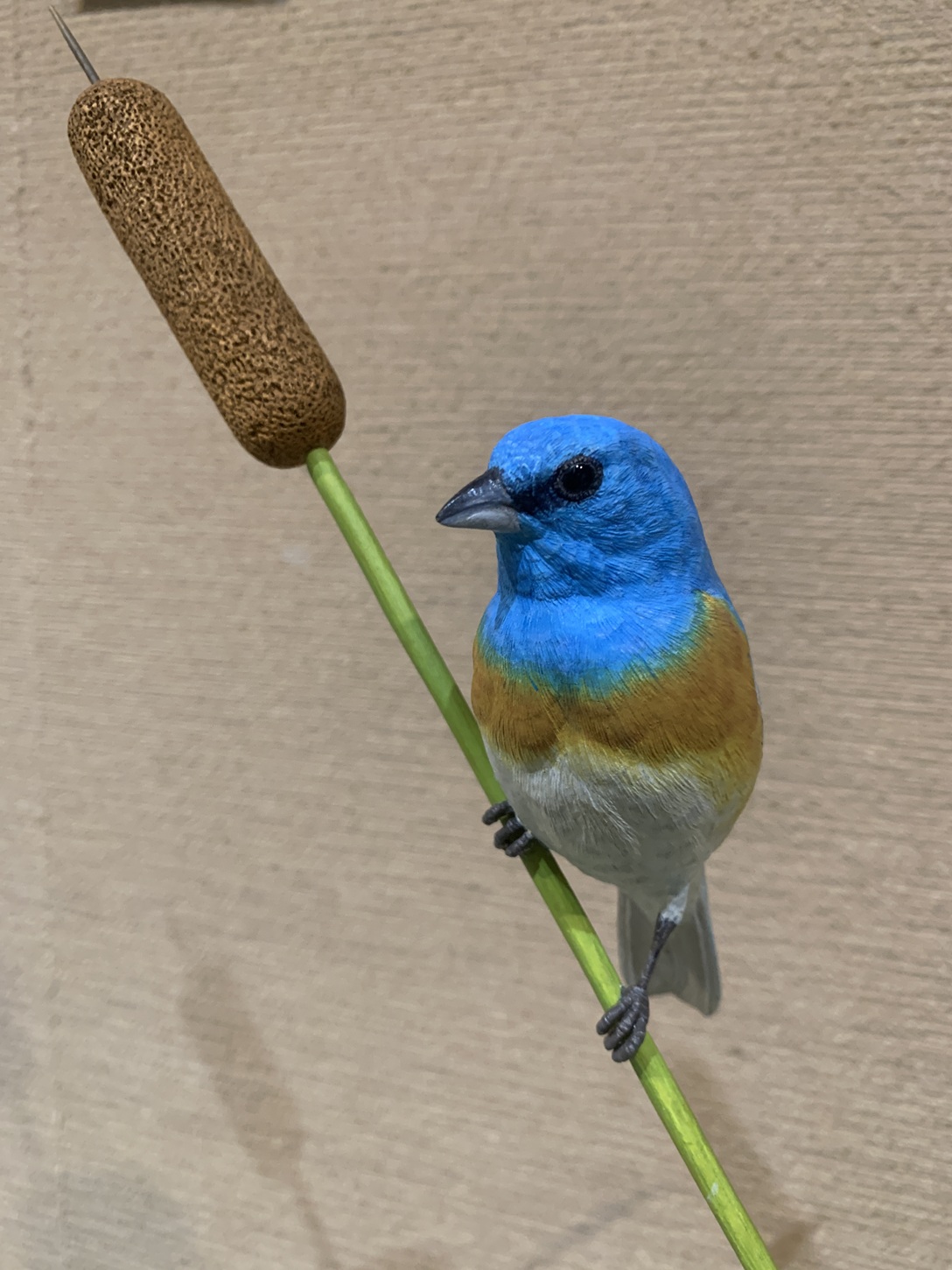 山梨県甲斐バードカービングクラブ - Kai Bird Carving Club
