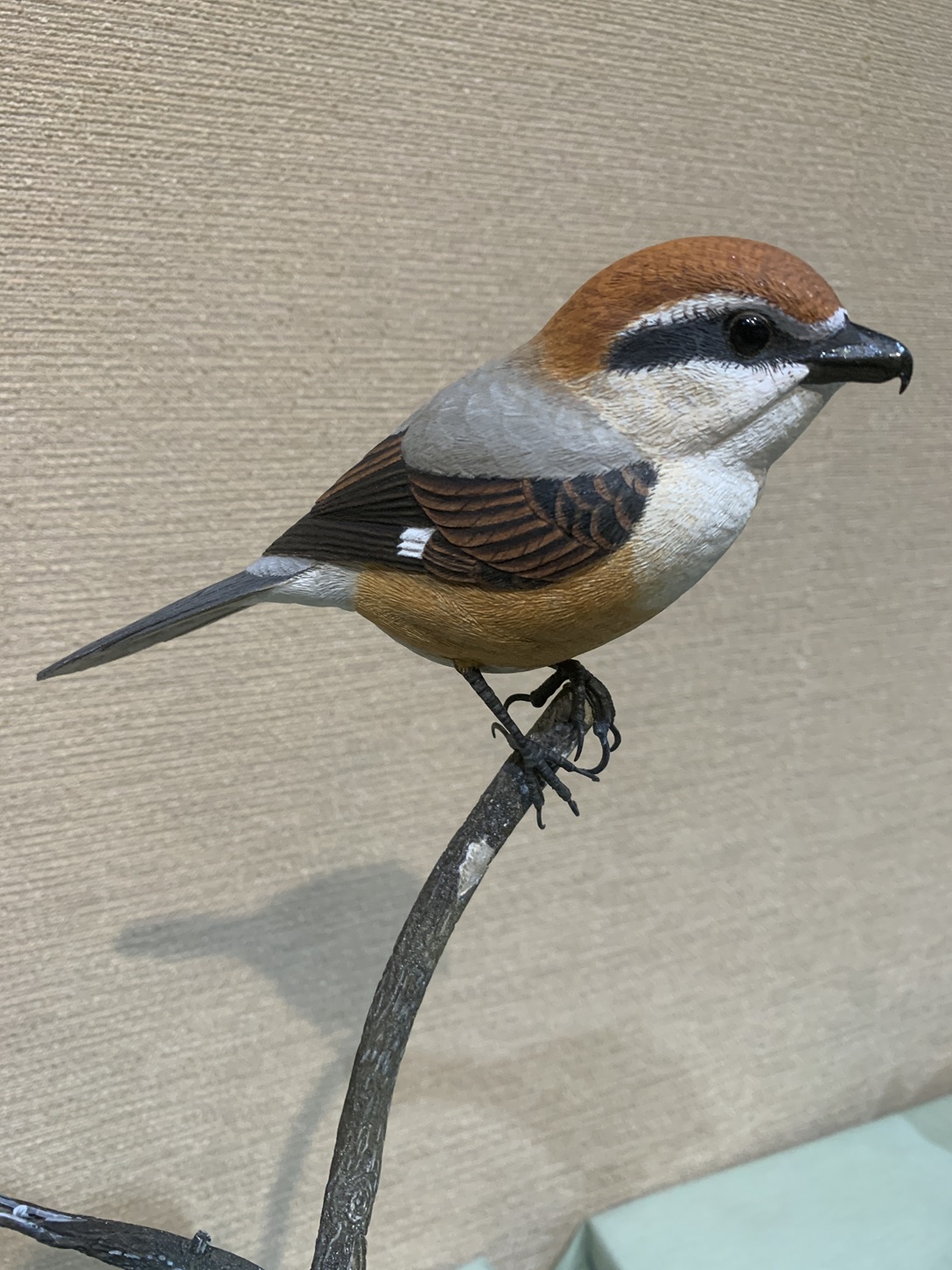 山梨県甲斐バードカービングクラブ - Kai Bird Carving Club