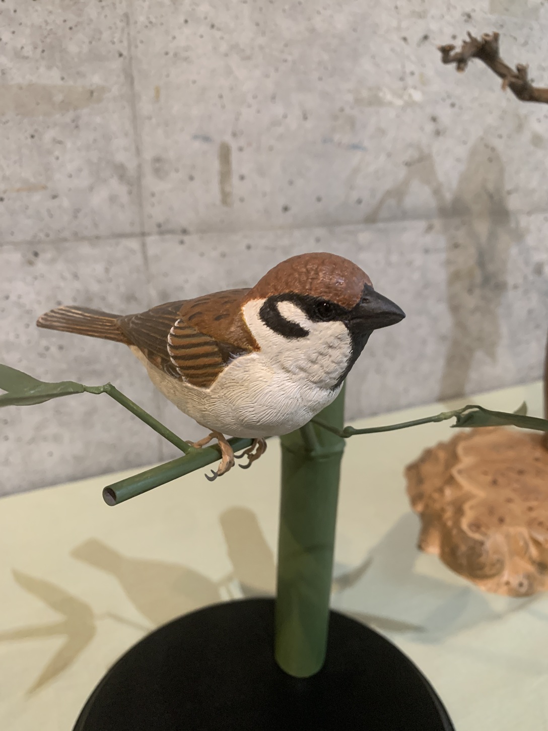 山梨県甲斐バードカービングクラブ - Kai Bird Carving Club